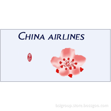 Air Cargo From Shenzhen China to Madras, India by China Airlines (B747--400)